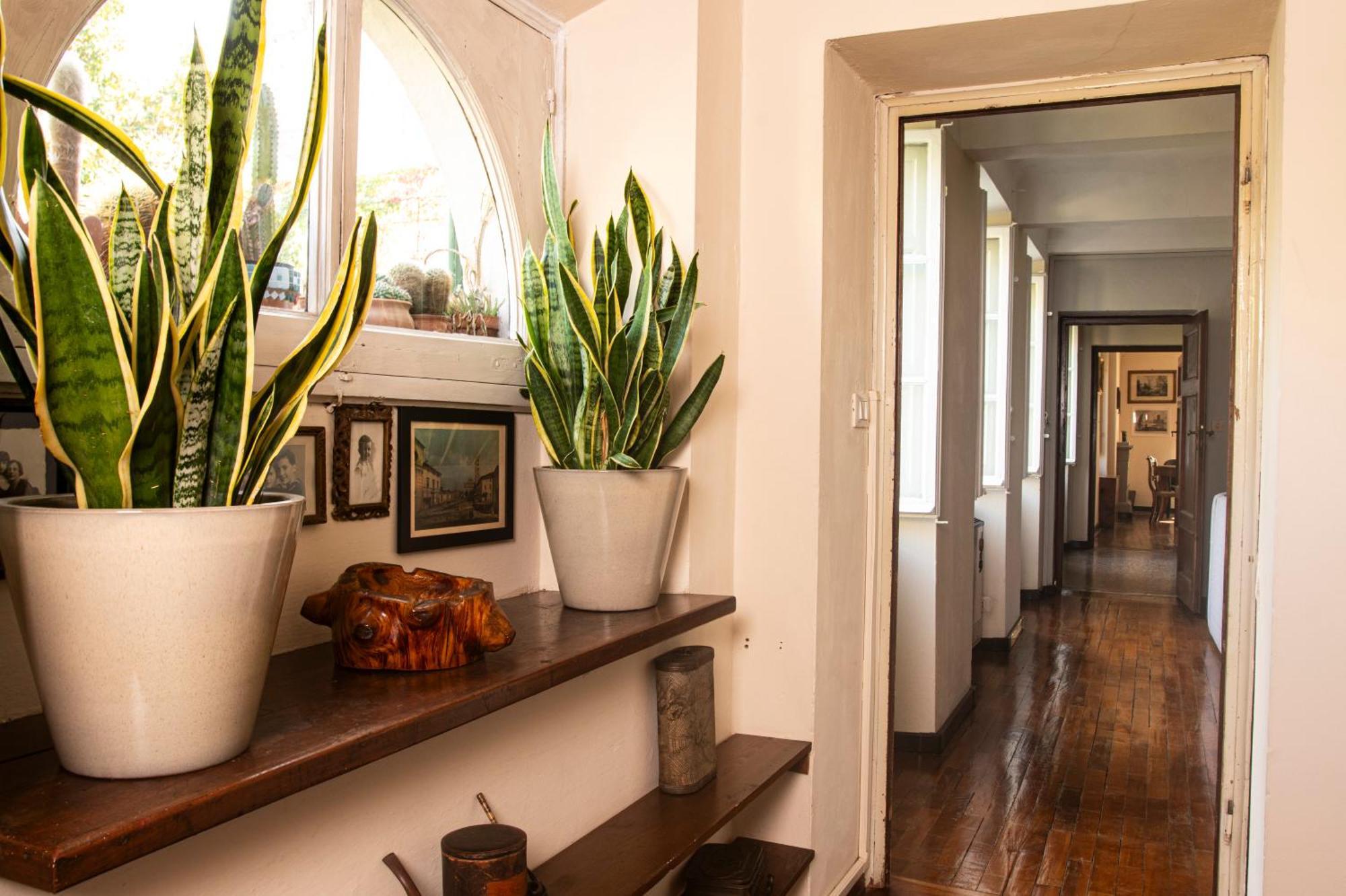 Palazzo Micheletti Lucca Apartment Ngoại thất bức ảnh